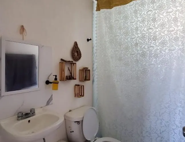 Hippie Artisan Jungle Flat Pool