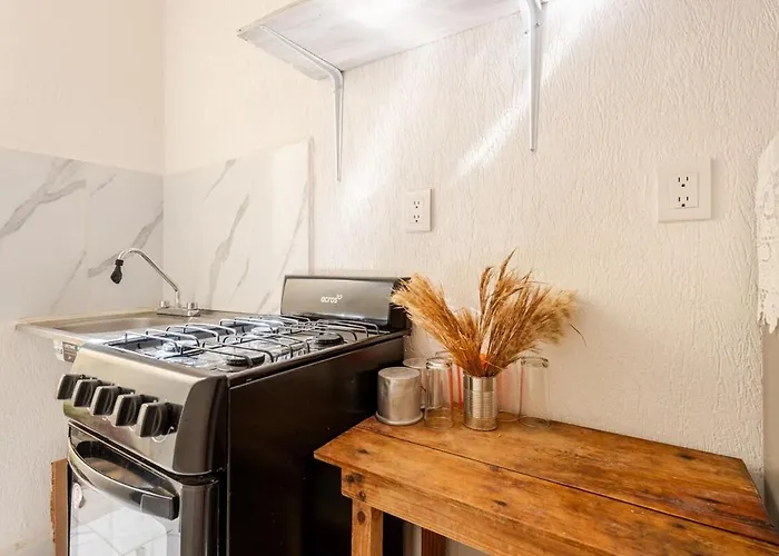 Hippie Artisan Jungle Flat Pool Apartment