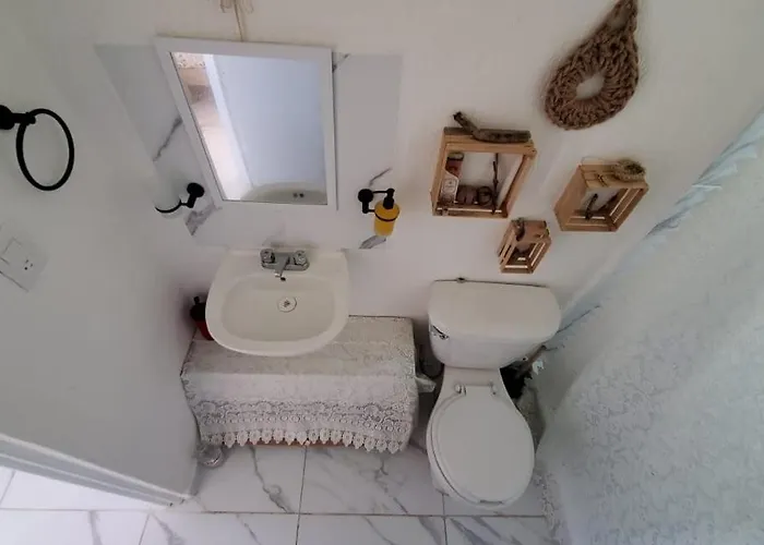 Apartment Hippie Artisan Jungle Flat Pool *