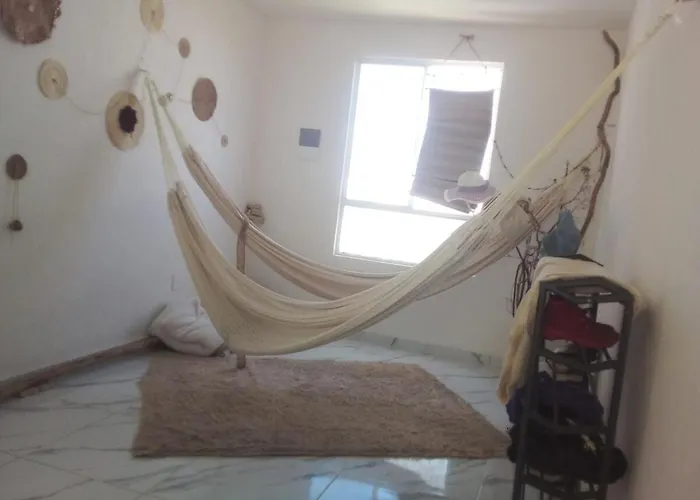 Apartment Hippie Artisan Jungle Flat Pool