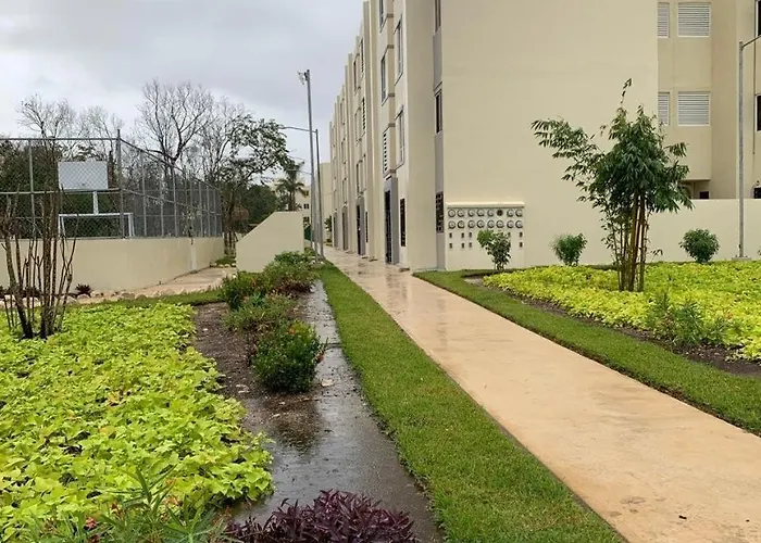 Apartment Hippie Artisan Jungle Flat Pool